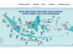 Peta-sebaran-sekuens-dan-varian-virus-SARS-CoV-2-di-Indonesia.jpg
