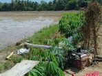 Petani di Mamuju Tengah Terpaksa Pakai Sumur Bor, Kesulitan Air