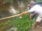 Proses-evakuasi-warga-yang-diterkam-buaya-di-mamuju-tengah.jpg