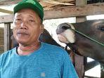 Santoso-seorang-peternak-sapi-penggemukan-di-Desa-Sumberjo.jpg