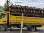 Sebuah-truk-yang-diduga-kelebihan-muatan-pecah-ban-dan-hampir-terguling-di-Pasangkayu.jpg