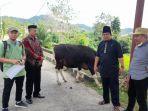Tim-dokter-hewan-Pertanian-Sulbar-melakukan-pemeriksaan-kesehatan-Sapi-kurban.jpg