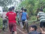 Ular-piton-nyaris-memangsa-gadis-5-tahun-di-Dusun-Tanete-Desa-Lenggo-Kecamatan-Bulo-Polman.jpg