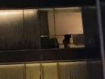 Video-viral-sejoli-berhubungan-intim-di-kamar-hotel.jpg