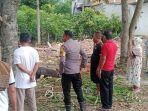 Warga-dan-POlisi-memantau-TKP-seorang-warga-di-manding-Polman-yang-tewas-usai-tertimpa-pohon-kelapa.jpg