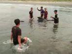 Warga-mengevakuasi-Ikan-Paus-beru.jpg
