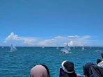 puluhan-warga-menyaksikan-perahu-di-lomba-Festival-Malauyung.jpg