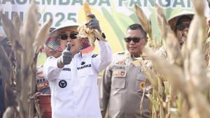 ASR-Target-Jagung-Jadi-Komoditas-Ekspor-Sulawesi-Tenggara-Dorong-Produksi-200-Ribu-Ton-per-Tahun.jpg