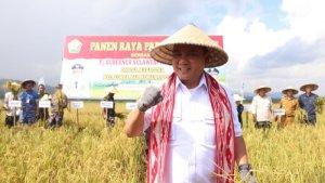 Andap-Budhi-Revianto-bersama-Bupati-dan-jajaran-melakukan-Panen-Raya-Padi-Sawah-di-Desa-Masagena.jpg