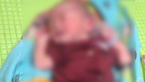 BREAKING-NEWS-Geger-Warga-Temukan-Bayi-Perempuan-di-Teras-Rumah-Kendari-Sulawesi-Tenggara.jpg