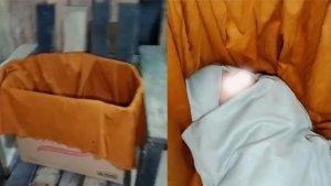 Bayi-ditemukan-dalam-kardus-di-baruga.jpg