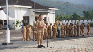 Berikut-rincian-formasi-CPNS-dan-PPPK-2024-di-Kabupaten-Kolaka-Timur.jpg