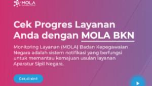 Calon-PPPK-paruh-waktu-pengusulan-NIP-MOLA-BKN.jpg