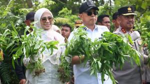 Cara-Gubernur-Sulawesi-Tenggara-Bangun-Ketahanan-Pangan-Berbasis-Agromaritim-13-Program-Prioritas.jpg