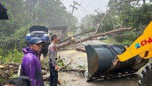 Evakuasi-Pohon-Tumbang-di-Kolaka-Timur.jpg