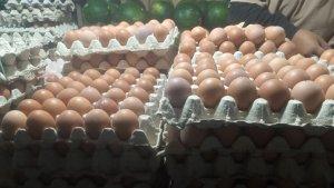 Harga-Telur-di-Kendari-Sulawesi-Tenggara-Naik-Rp65-Ribu-Satu-Rak-Bansos-PKH-Diduga-Jadi-Penyebabnya.jpg