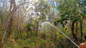 Hutan-Warangga-Muna-Sulawesi-Tenggara-2-Kali-Terbakar-Pemadam-Kebakaran-Sempat-Sulit-Padamkan-Api.jpg