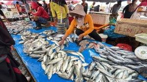 Inilah-daftar-harga-ikan-terbaru-di-Pasar-Pelelangan-Ikan-Kota-Kendari-Sulawesi-Tenggara.jpg