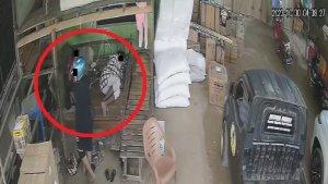 Karyawan-Ekspedisi-di-Kendari-Sultra-Nyenyak-Tidur-Tak-Sadar-Ponsel-Dicuri-Pria-Terekam-CCTV-Viral.jpg