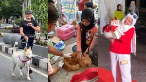 Keseruan-Pet-Festival-2025-di-Eks-MTQ-Kendari-Lari-Bareng-Vaksin-Gratis-hingga-Fashion-Show.jpg