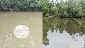 Mayat-mengambang-di-muara-Sungai-Wanggu-Kota-Kendari.jpg