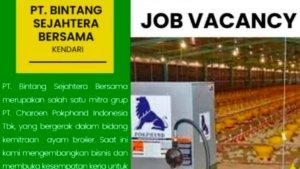 PT-Bintang-Sejahtera-Bersama-BSB-Kota-Kendari-buka-lowongan-kerja.jpg