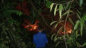 Pemadam-Kebakaran-Kesulitan-Padamkan-Api-di-Hutan-Warangga-Muna-Sultra-Gegara-Selang-Air-Terbatas.jpg