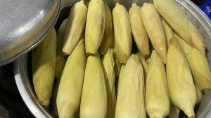 Penjual-Jagung-Rebus-di-Pondidaha-Konawe-Sulawesi-Tenggara-Keluhkan-Bahan-Baku-Langka-Selama-Kemarau.jpg