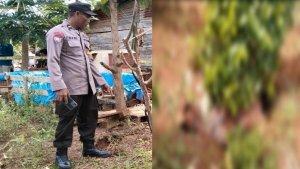 Penyebab-Kematian-Petani-Asal-Luwu-Timur-di-Kebun-Merica-Kolaka-Utara-Sultra-Diungkap-Polisi.jpg
