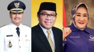 Profil-8-Bakal-Calon-Gubernur-Sultra-Diusulkan-Golkar-di-Pilkada-2024-3-Eks-Bupati-1-Kader-NasDem.jpg