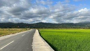 Rekomendasi-Tempat-Menikmati-Pemandangan-Sawah-dan-Pegunungan-di-Kolaka-Sulawesi-Tenggara.jpg