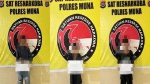 Tiga-Pemuda-Terduga-Pengedar-Narkoba-Ditangkap-Polisi-di-Banggai-Duruka-Muna-Sulawesi-Tenggara.jpg