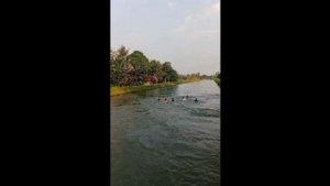 Video-Viral-Penyelamatan-Anak-Tenggelam-di-Saluran-Irigasi-Konawe-Diduga-Gegara-Tak-Bisa-Berenang.jpg