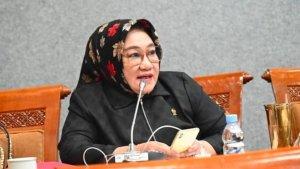 biodata-dan-rincian-kekayaan-Tina-Nur-Alam-anggota-DPR-RI-dapil-Sulawesi-Tenggara.jpg