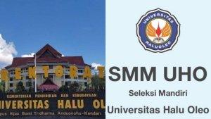 daftar-daya-tampung-Program-Studi-jalur-Seleksi-Mandiri-Masuk-2024-di-UHO-Kendari.jpg