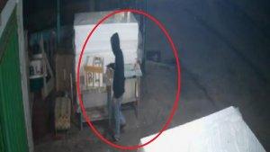 detik-detik-pencuri-ikan-dalam-gabus-di-pelalangan-ikan-Jalan-Pembangunan-Kota-Lama.jpg