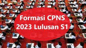 formasi-CPNS-2023-lulusan-S1-termasuk-PPPK-update-jadwal-pendaftaran-CASN.jpg