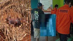 kakek-berusia-70-tahun-yang-sempat-hilang-di-perkebunan-kelapa-sawit-Konawe-Utara.jpg