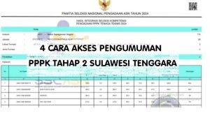 pengumuman-hasil-tes-PPPK-tahap-2-tahun-anggaran-2024-Sulawesi-Tenggara.jpg