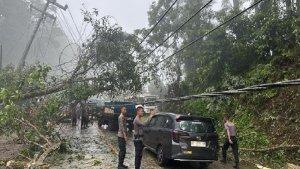 pohon-timpa-mobil-di-Kolaka.jpg