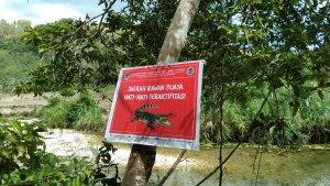 sarangh-buaya-Kota-Baubau.jpg