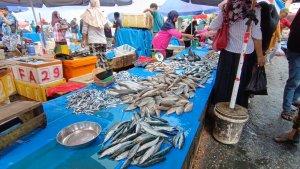 update-harga-ikan-di-Pasar-Pelelangan-Ikan-Sodohoa-Kota-Kendari-Provinsi-Sulawesi-Tenggara.jpg
