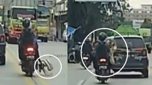 viral-aksi-pemotor-berkendara-masih-sempat-sempatnya-mengambil-sampah-yang-jatuh-di-jalanan.jpg