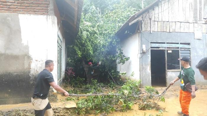 2-Rumah-Warga-di-Labibia-Mandonga-Kendari-Sulawesi-Tenggara-Tertimpa-Pohon-Tumbang.jpg