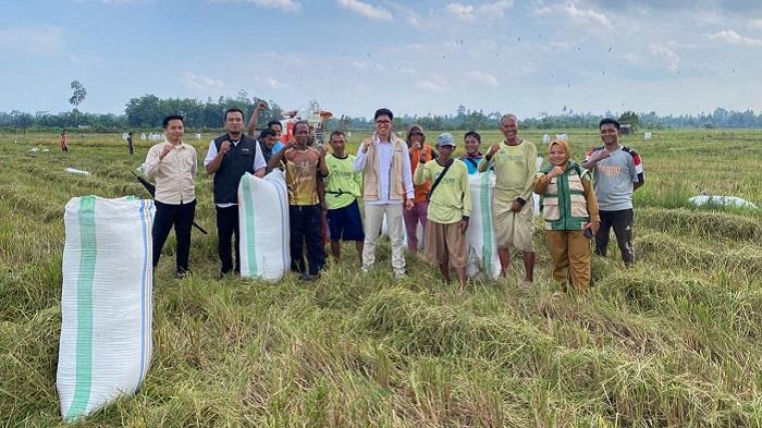 2.700 Ton Gabah Semua Varietas di Konawe Sulawesi Tenggara Terbeli, Bulog Sebut Harga Rp6.500 per Kg