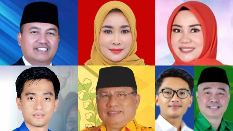 6-caleg-DPRD-Sulawesi-Tenggara-Dapil-Sultra-6-terpilih-hasil-real-count-KPU-Pemilu-2024.jpg