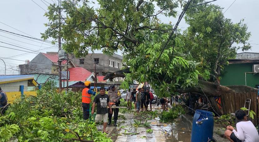 Angin-Kencang-Tumbangkan-Pohon-di-Kadolomoko-Baubau-Tidak-Ada-Korban-Jiwa.jpg