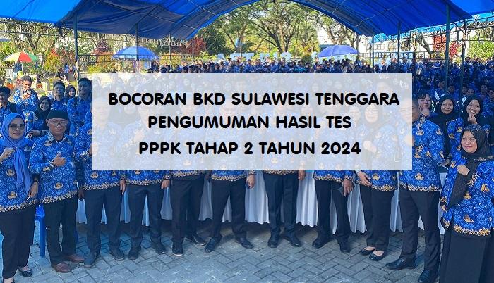 BKD-Sulawesi-Tenggara-jadwal-pengumuman-hasil-tes-PPPK-tahap-2.jpg
