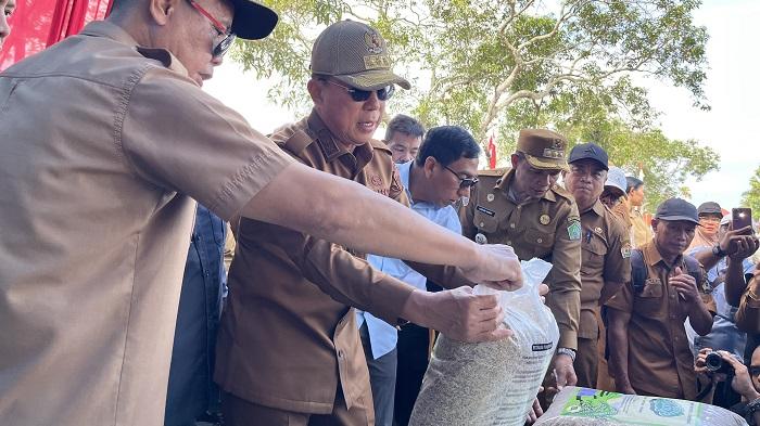 Benih-Padi-Unggul-Dijual-Rp8-Ribu-per-Kg-Gubernur-Sulawesi-Tenggara-ASR-Jangan-Ada-Tengkulak.jpg