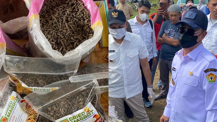 Gubernur-Sultra-ASR-Kembangkan-Budi-Daya-Maggot-Perkuat-Ketahanan-Pangan-Tambah-Pendapatan-Warga.jpg